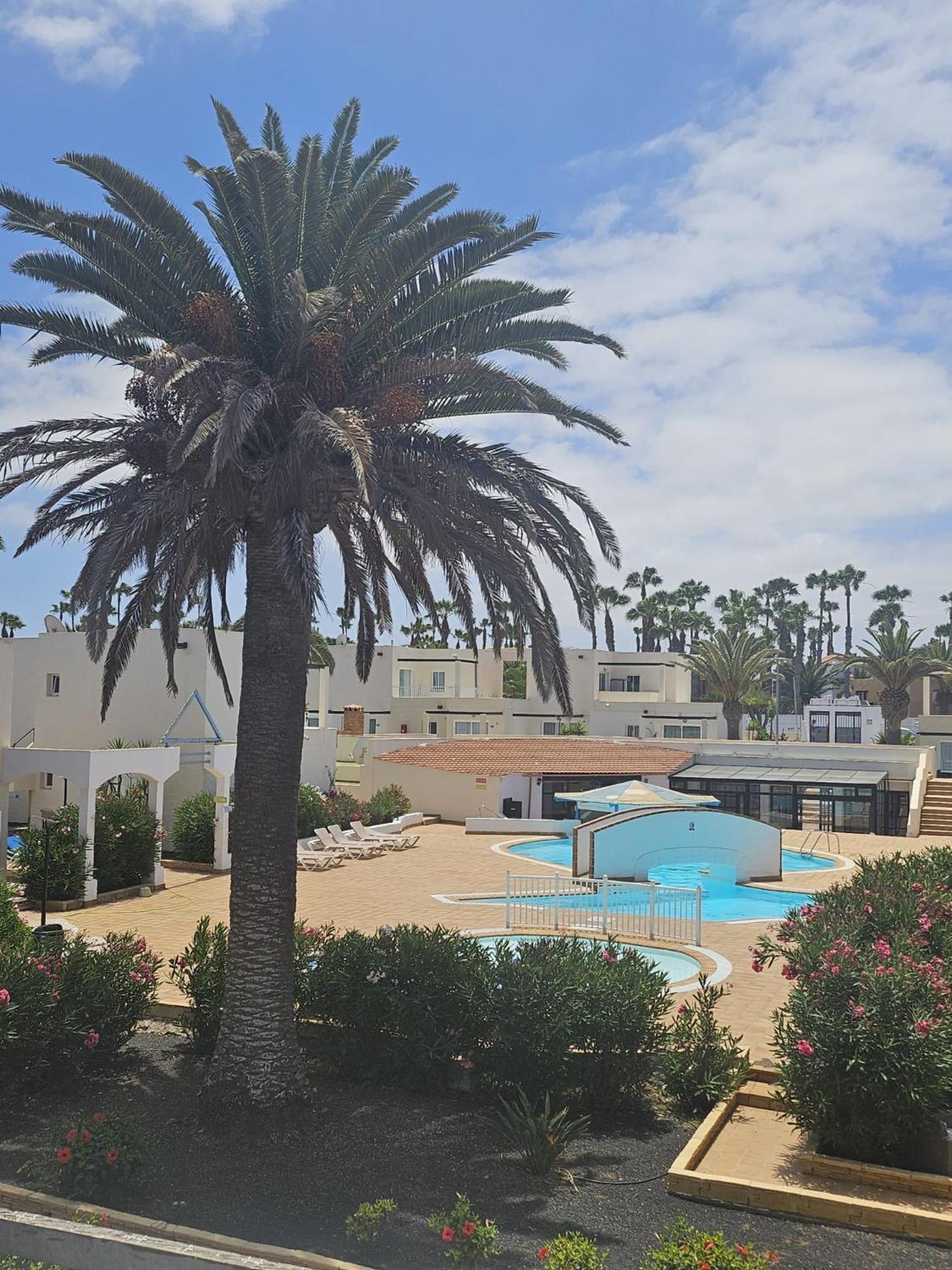 New Alisios Playa Apartment Corralejo Ngoại thất bức ảnh